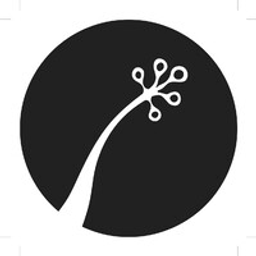Logo de ami iyok