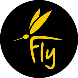 Logo de No Fly Store